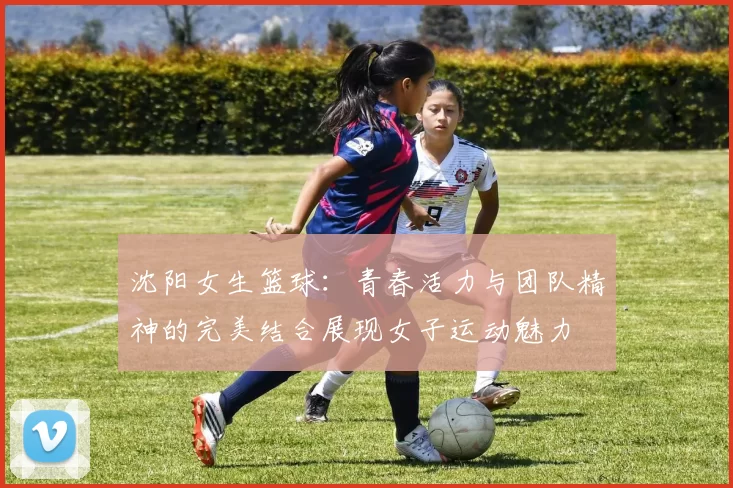 沈阳女生篮球：青春活力与团队精神的完美结合展现女子运动魅力