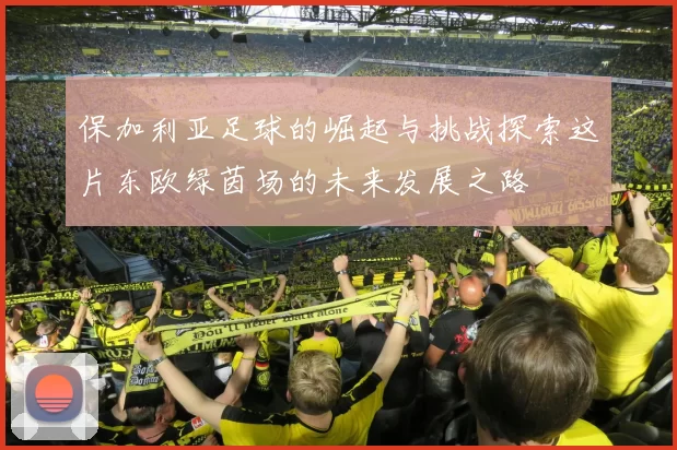 保加利亚足球的崛起与挑战探索这片东欧绿茵场的未来发展之路